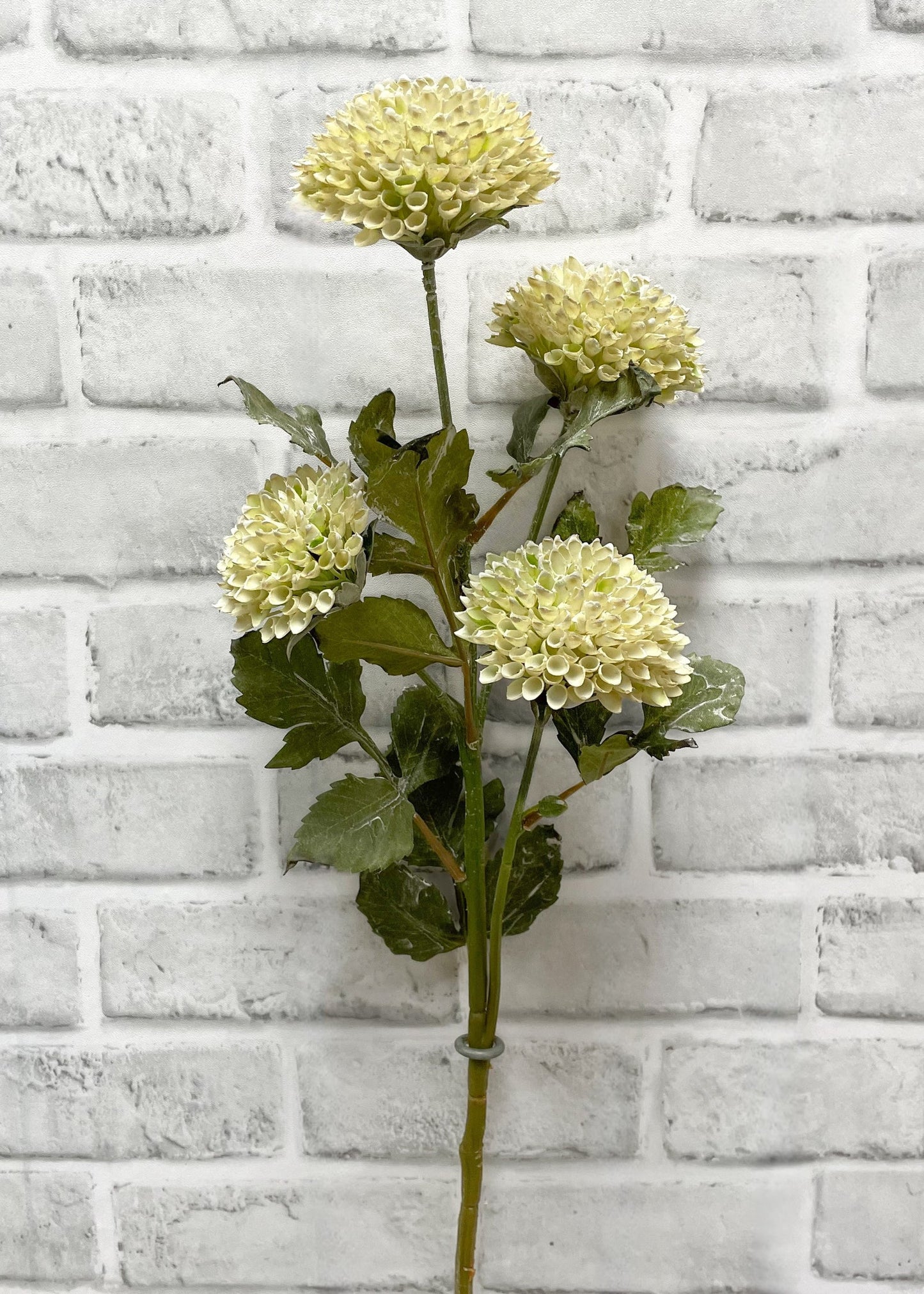 Scabiosa Spray