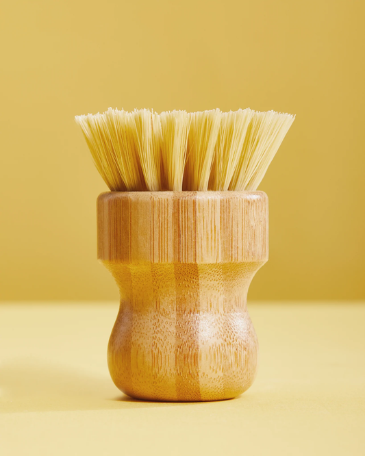 Scrubber Brush