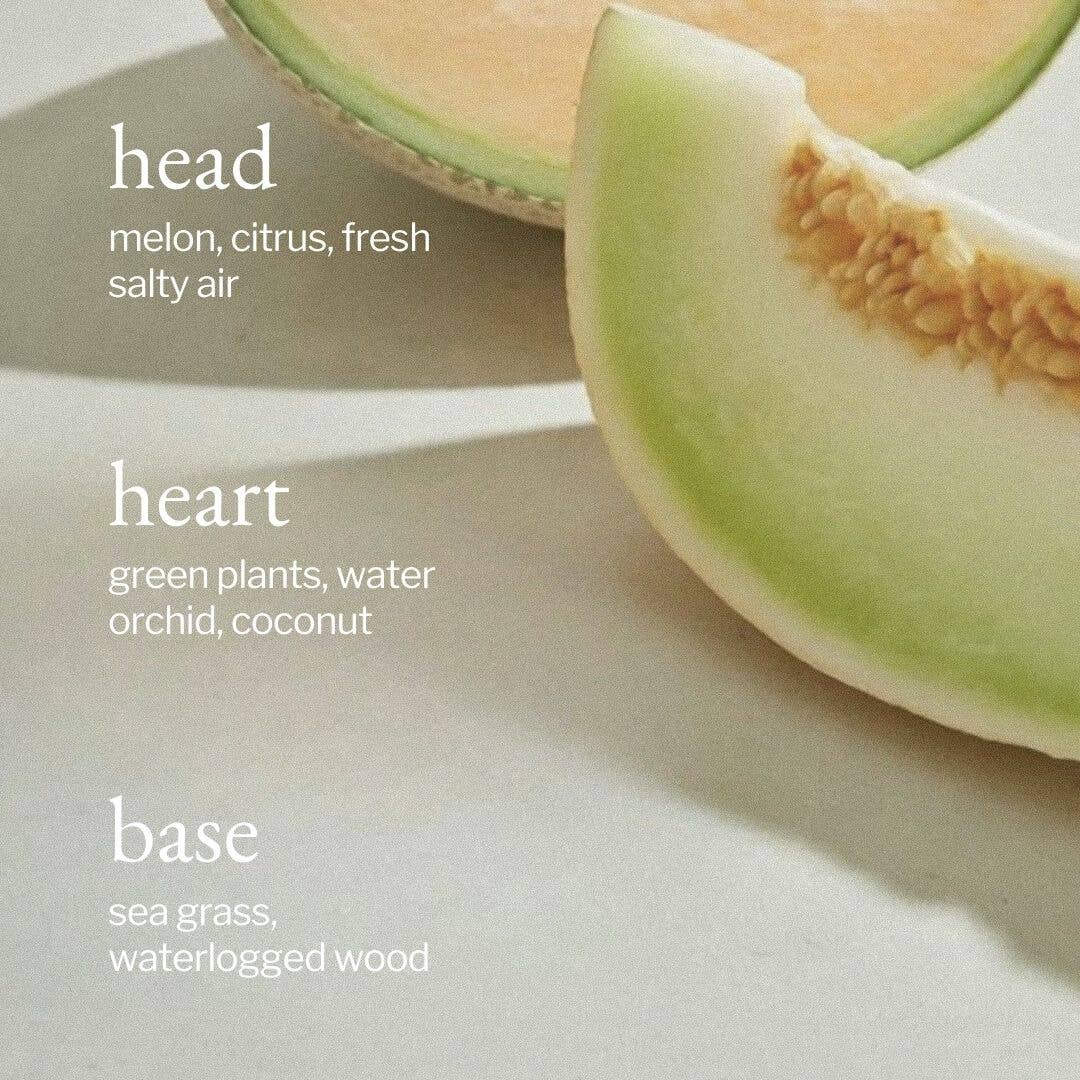 Soy Wax Candle | Melon + Salty Air: 8oz - Cotton Wick