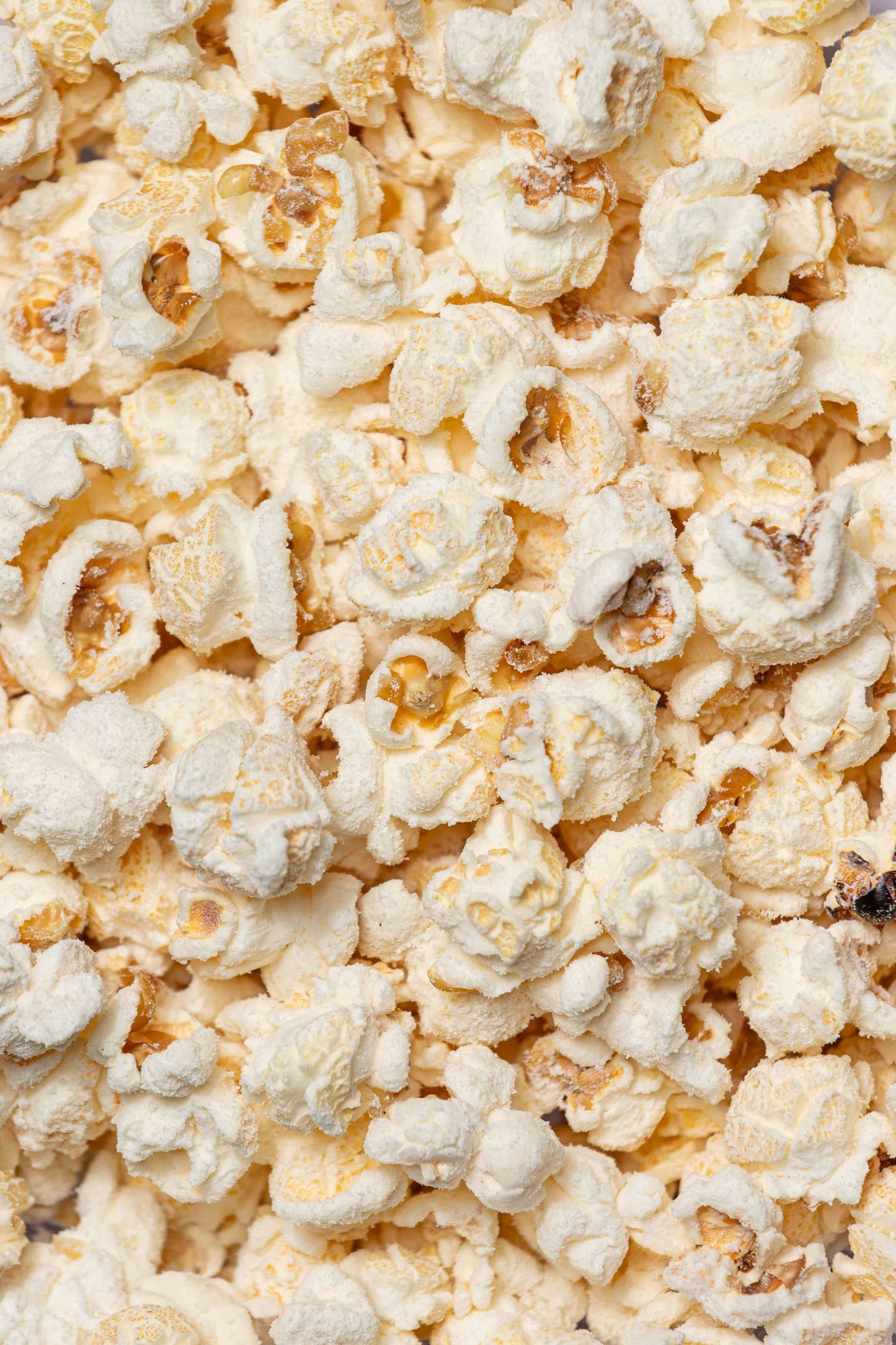 White Cheddar : Small