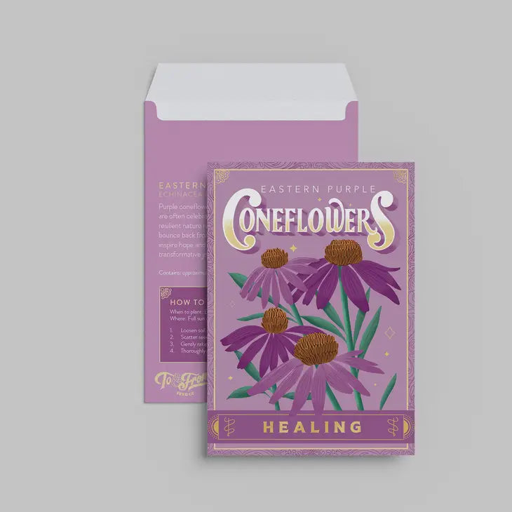 Coneflowers - Healing