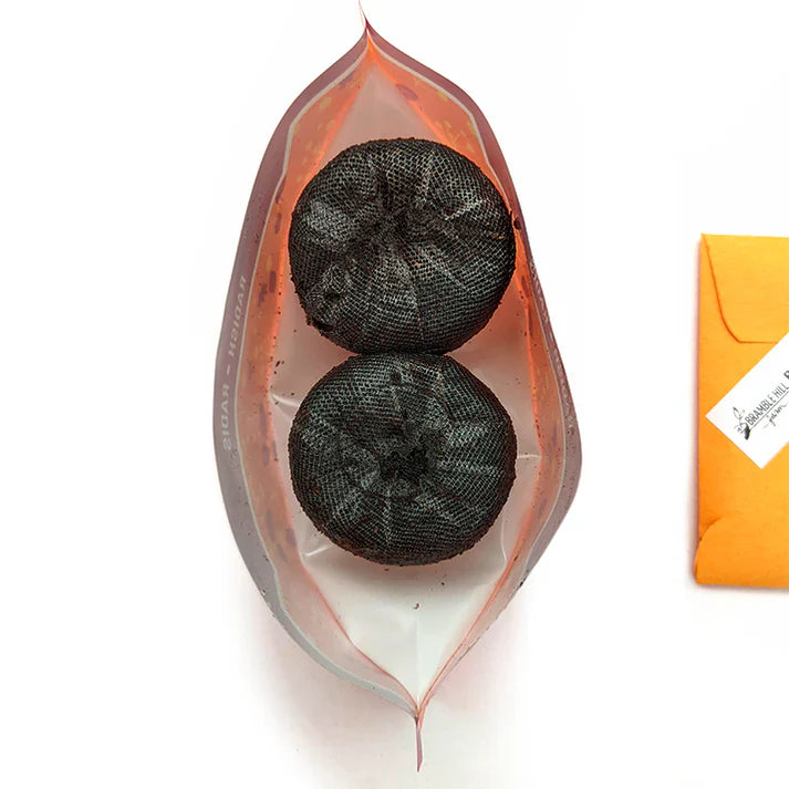 Buckwheat - Bramble Hill Farm Micro Garden Microgreen Kit