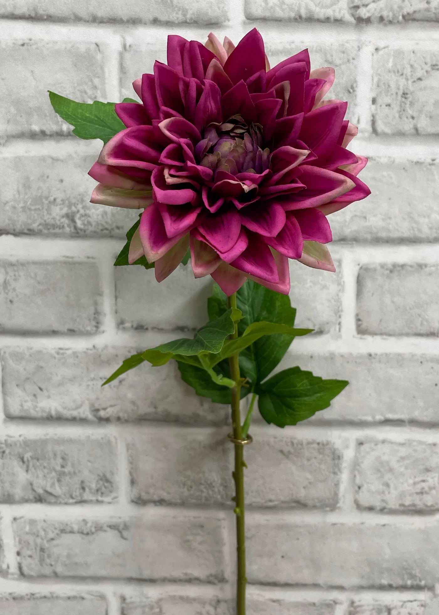 Dahlia Stem - Fresh Touch Floral