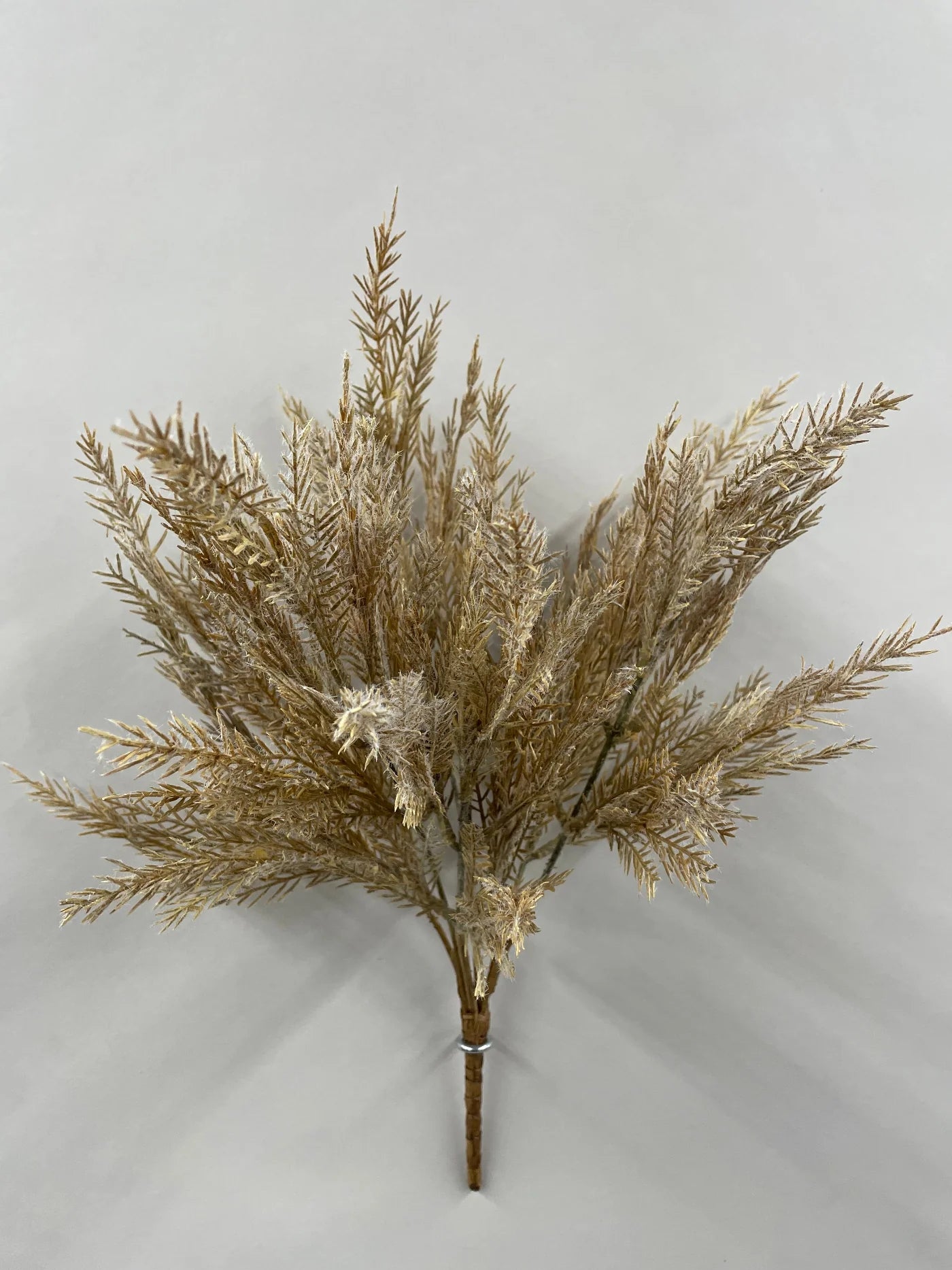 Spikemoss Bush