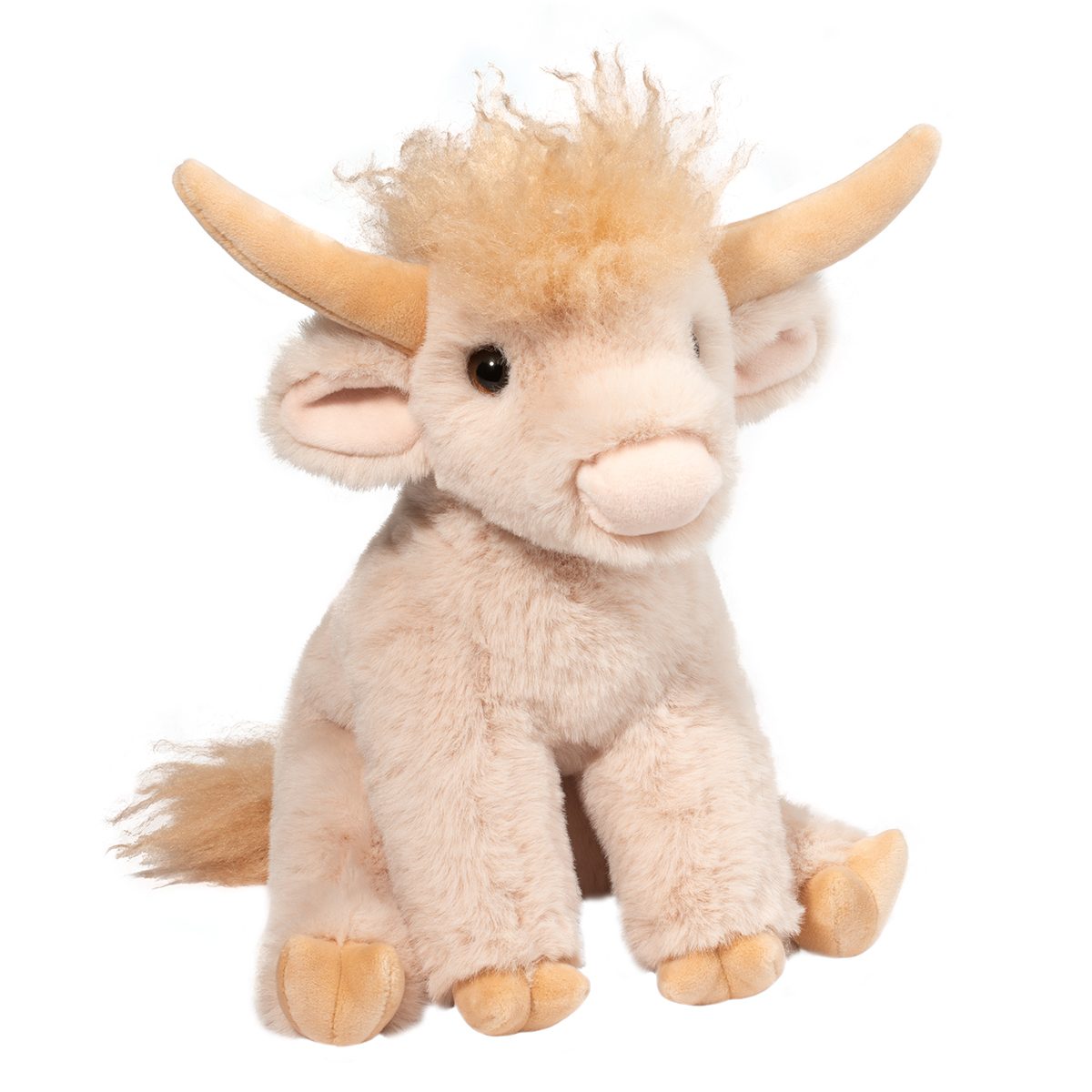 Laddie the Cream Highland Cow
