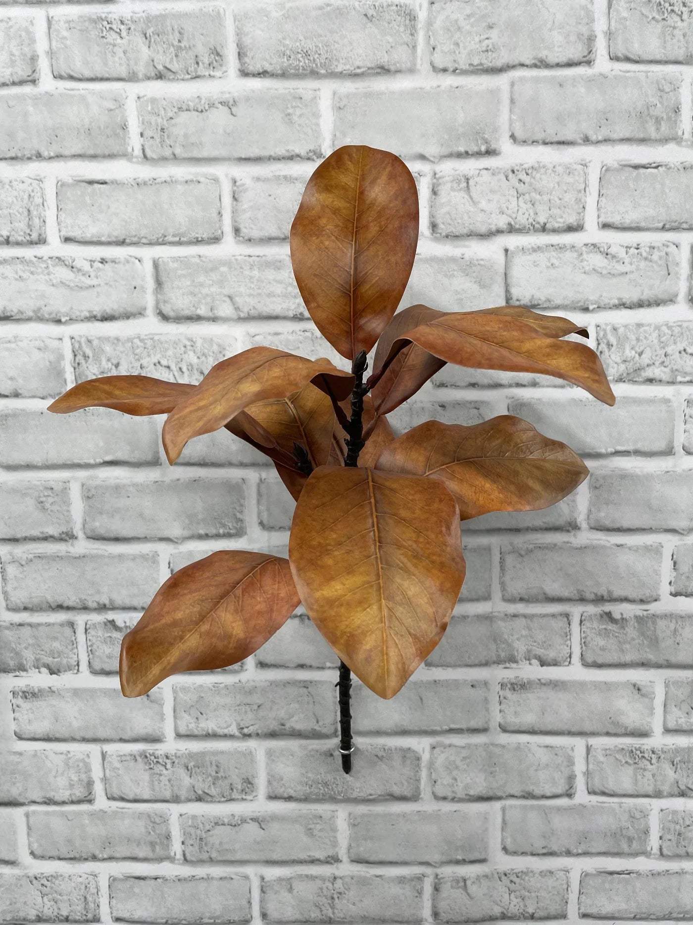 Magnolia Spray