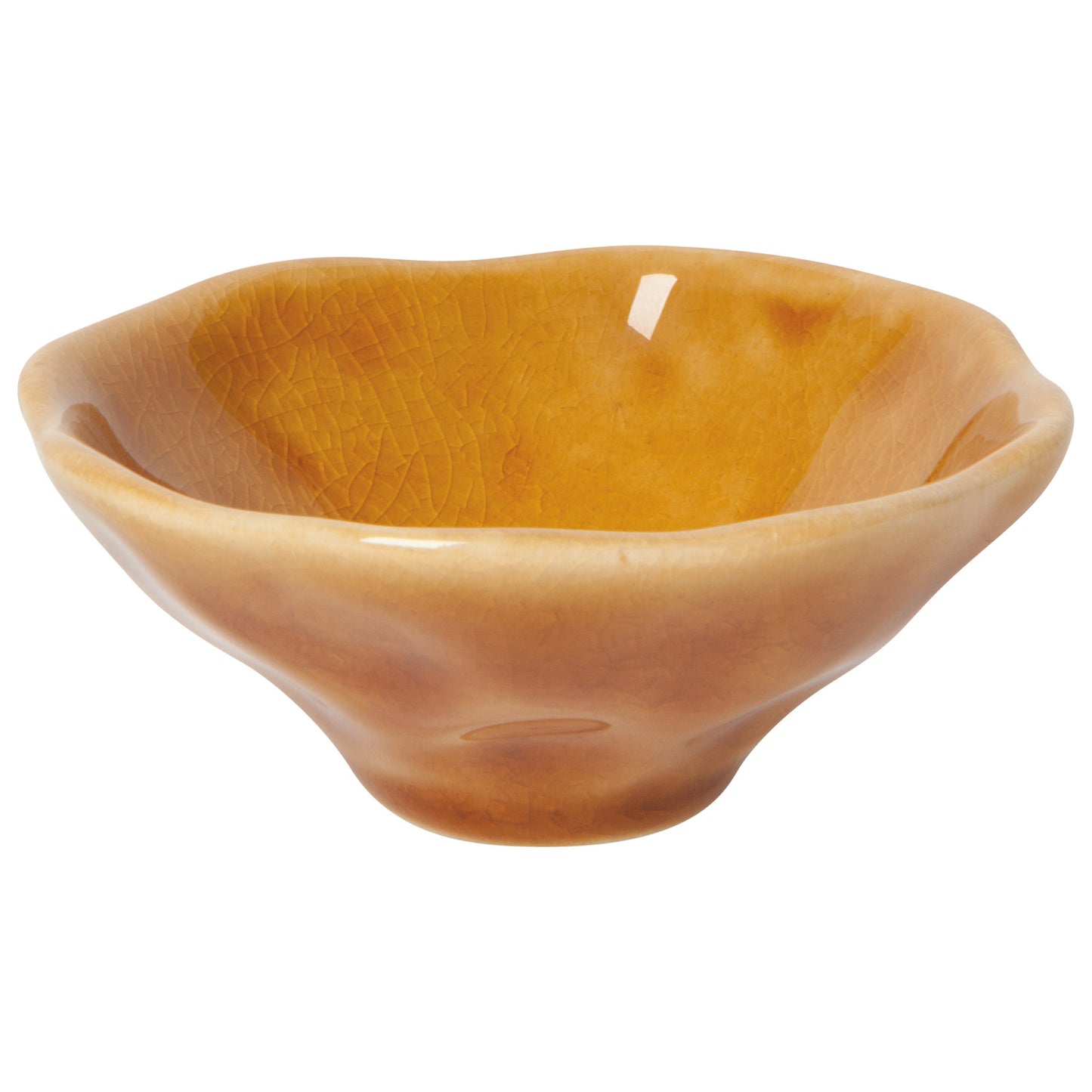 Opus Dish