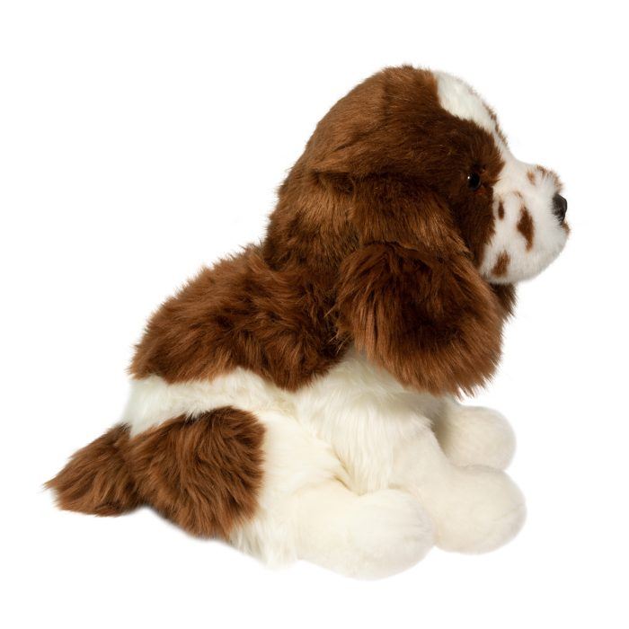 Chip the Springer Spaniel