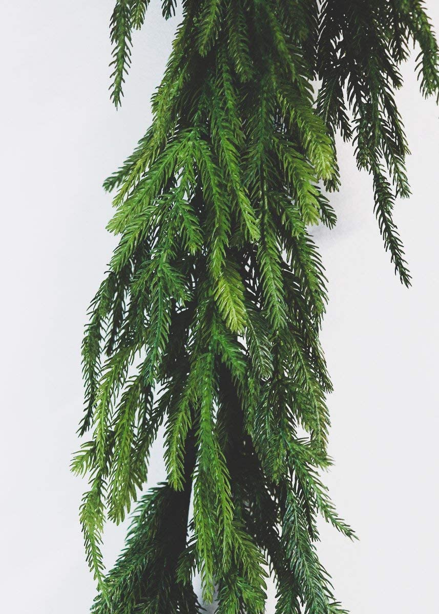 71" Fresh Touch Norfolk Pine Garland