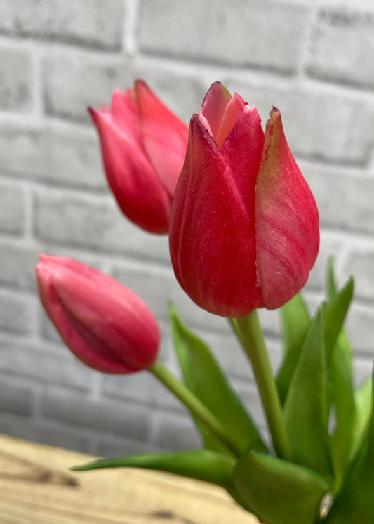 Fresh Touch Tulips - 10"