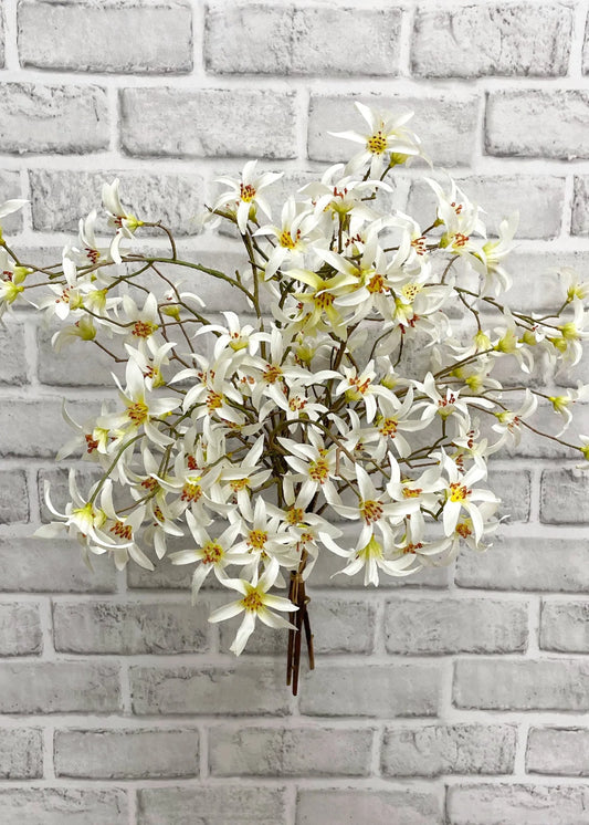 Forsythia Bundle - Fresh Touch Floral