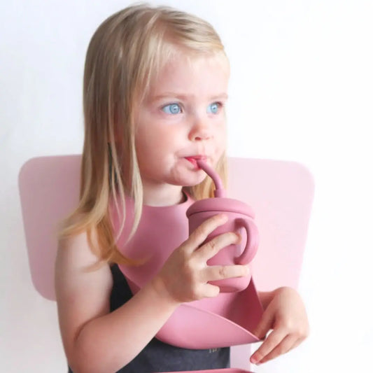 Silicone Bib: Dusty Rose