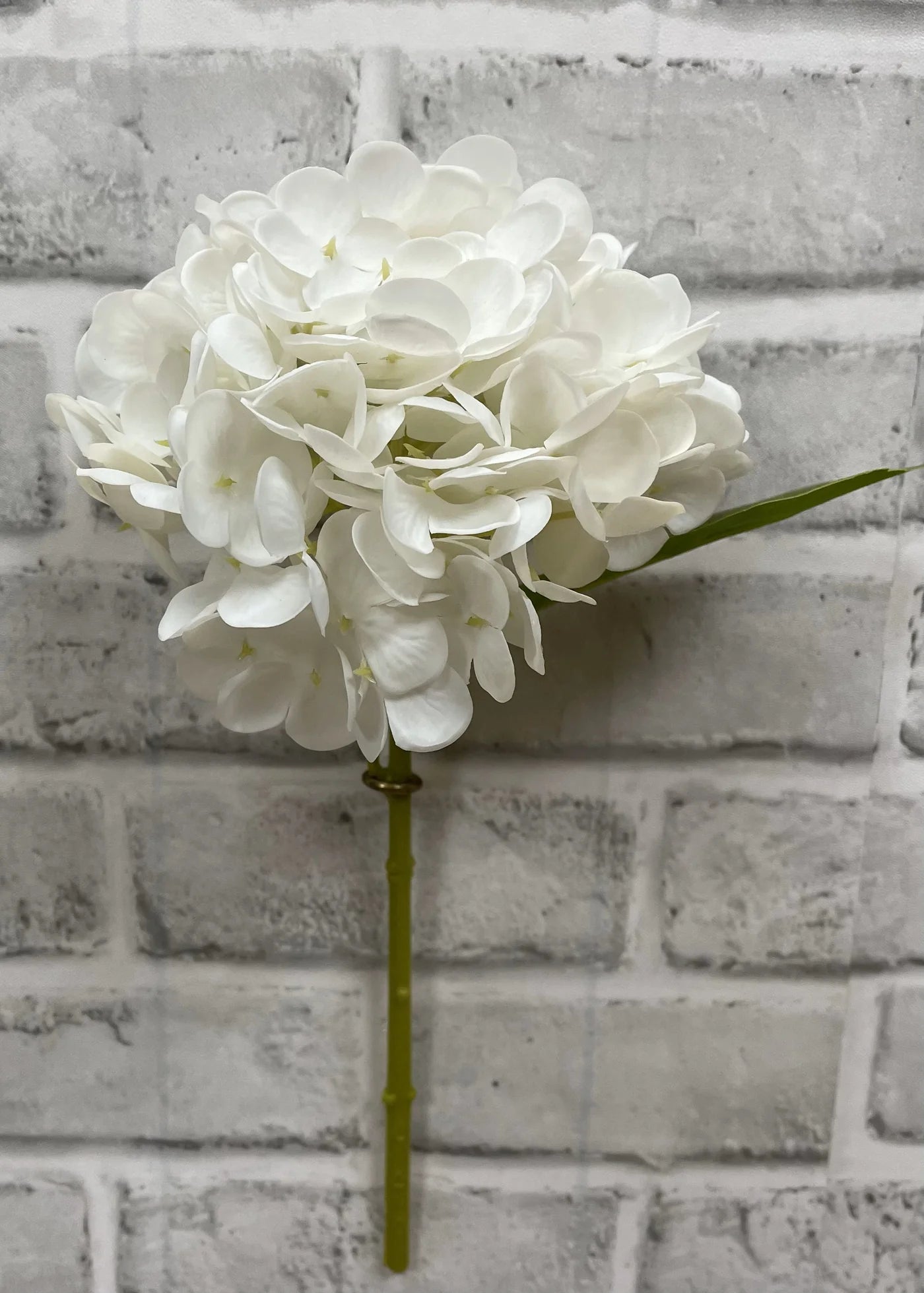 Hydrangea Stem - Fresh Touch Floral
