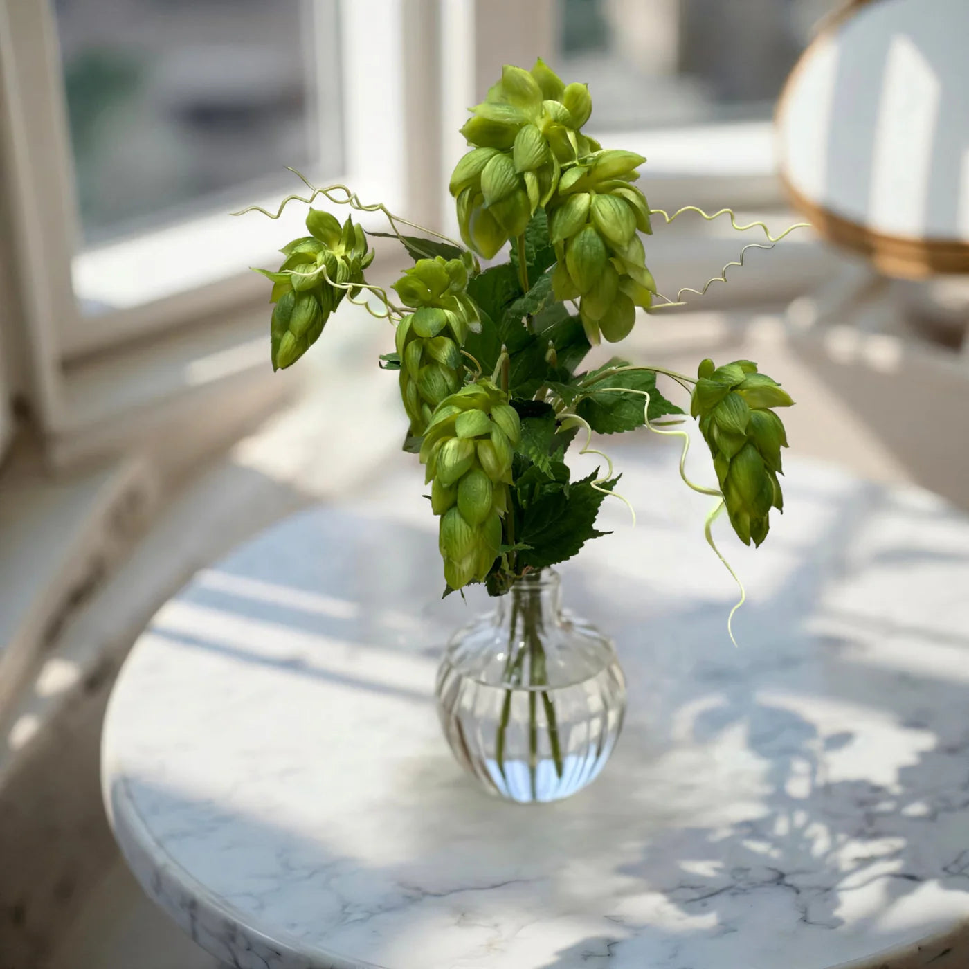 Hops Bundle - Fresh Touch Floral