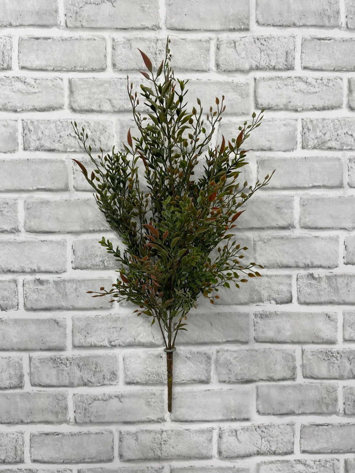 Smilax Bush