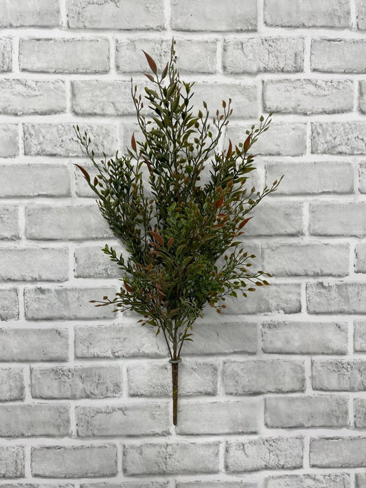 Smilax Bush