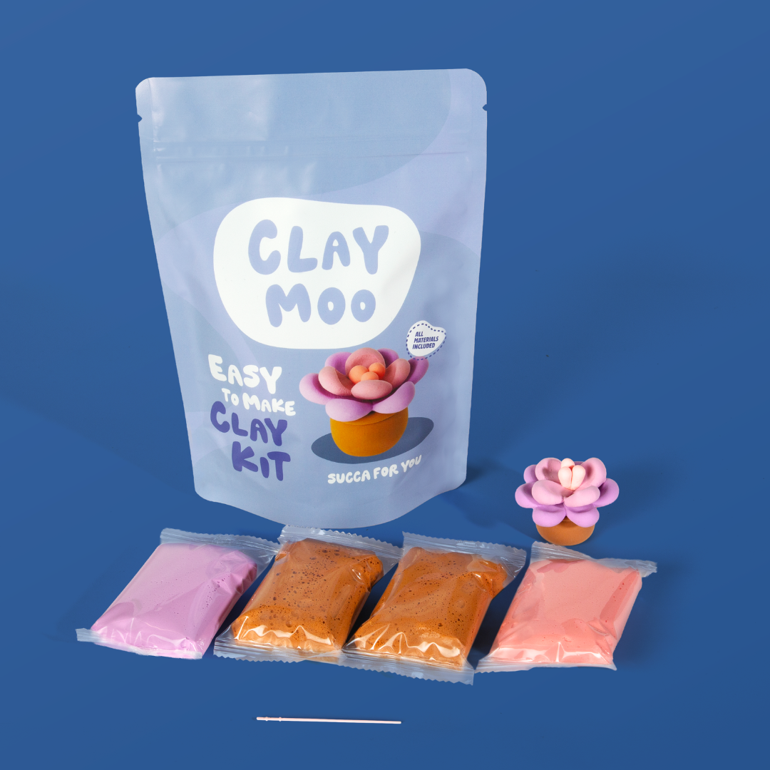 Succulent Clay Crafting Kit