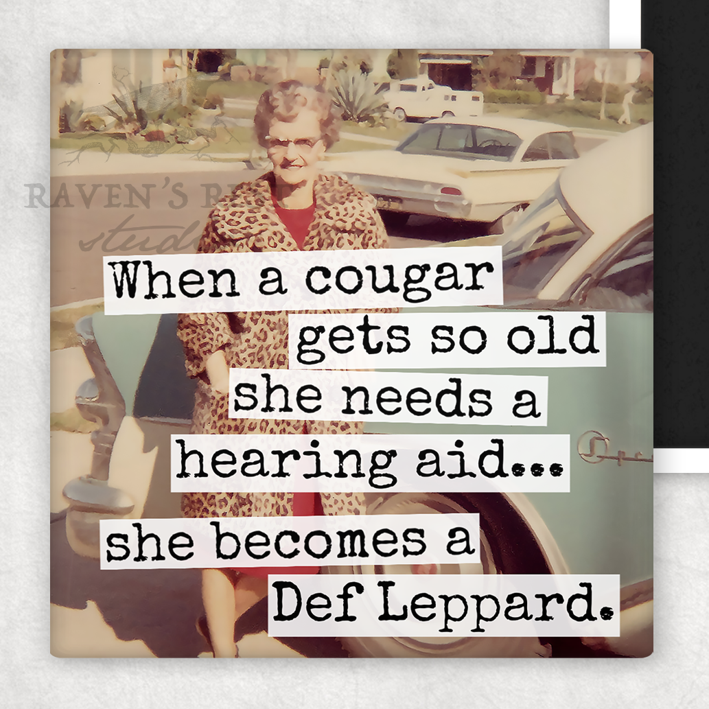 Hearing Aid | Magnet