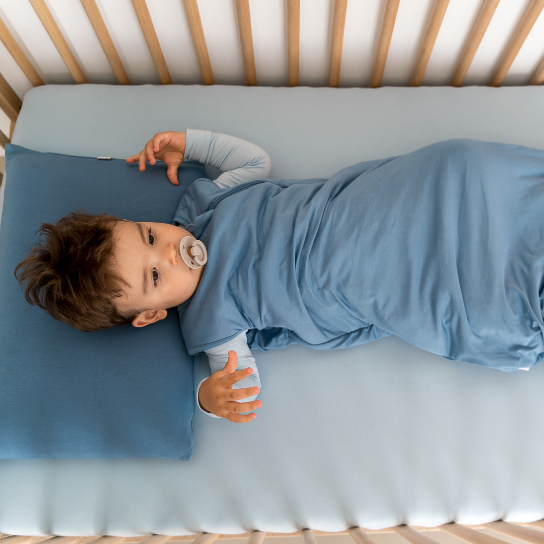 Sleep Bag | 1.0 TOG: Alaskan Blue / 0-6M