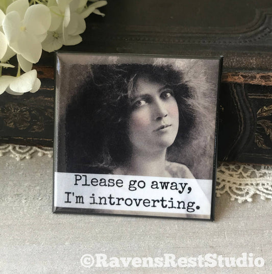 Introverting | Magnet