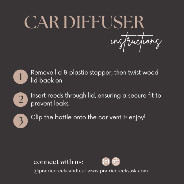 Coconut Beach Car Diffuser