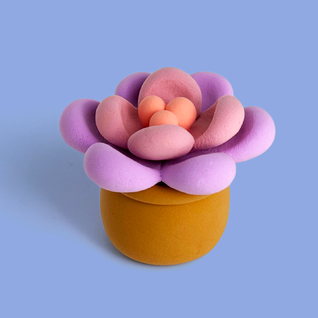 Succulent Clay Crafting Kit