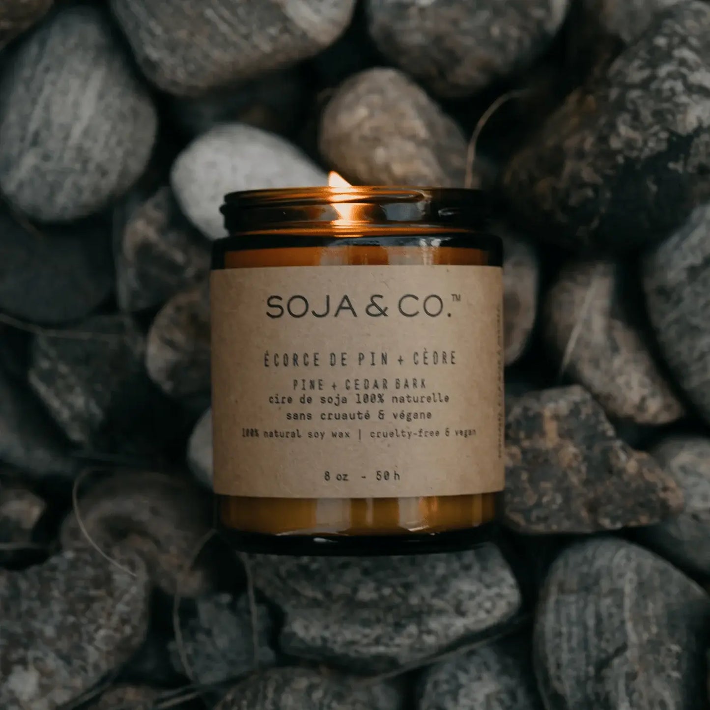 Soy Wax Candle | Pine + Cedar Bark: 8oz