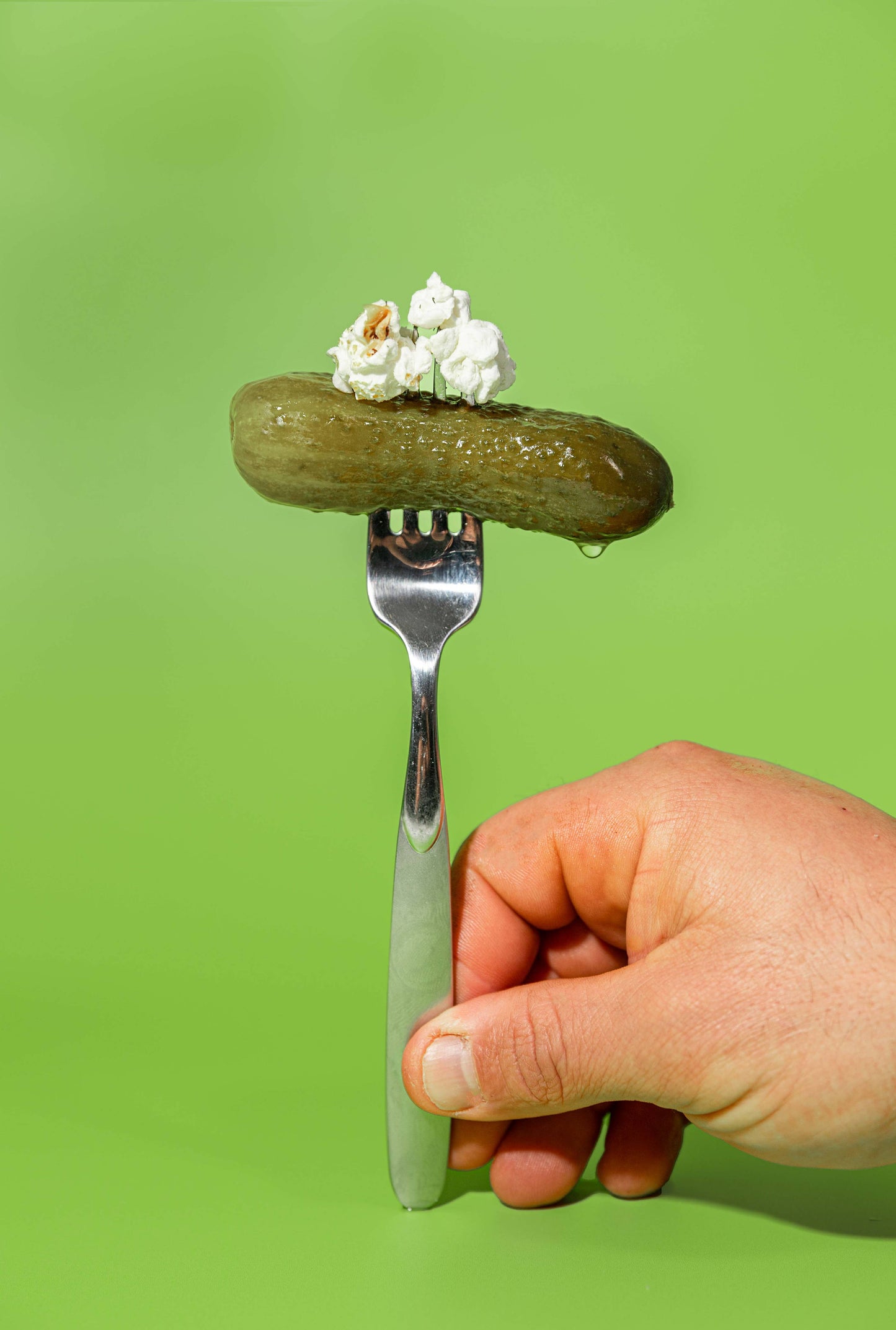 Dill Pickle : Regular