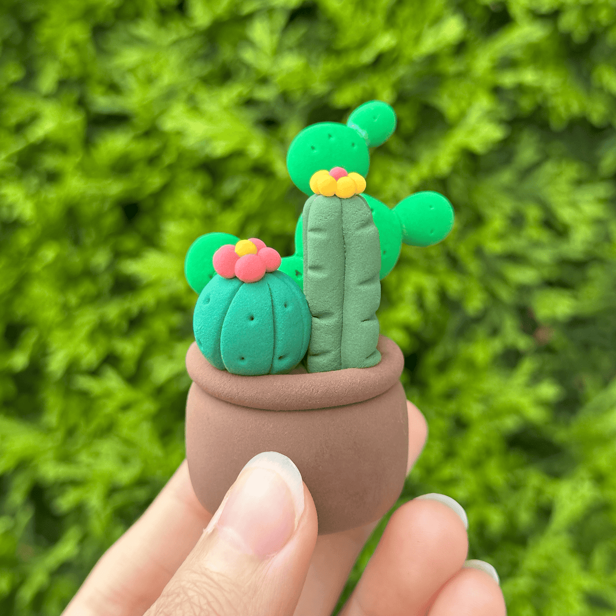 Cactus Clay Crafting Kit