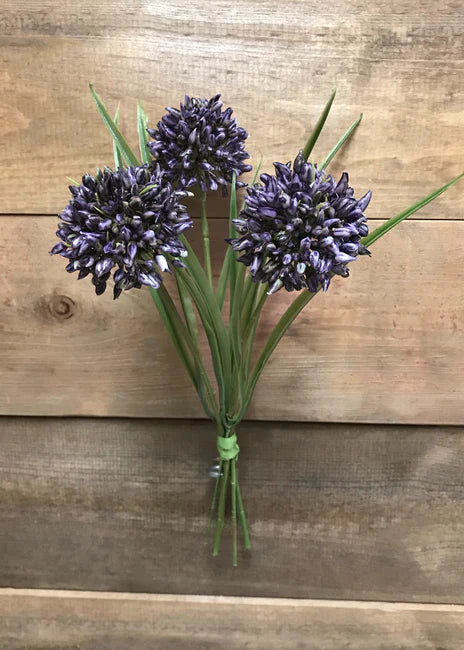 11" Purple Allium Grass