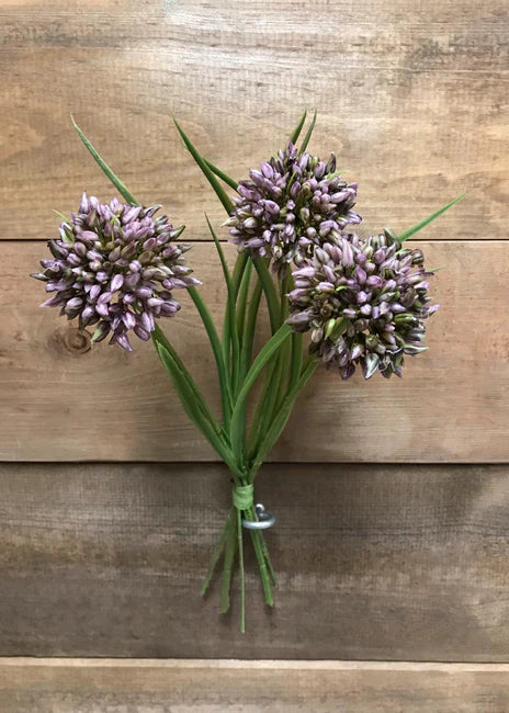 11" Mauve Allium Grass