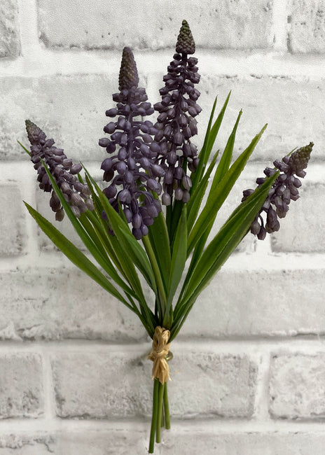 10.5" Lavender Muscari