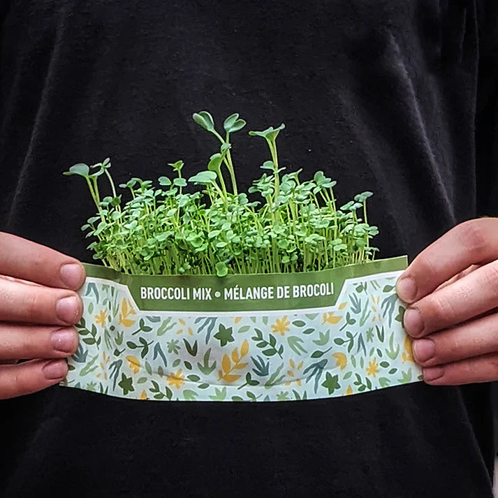 Sunflower Shoots - Bramble Hill Farm Micro Garden Microgreen Kit