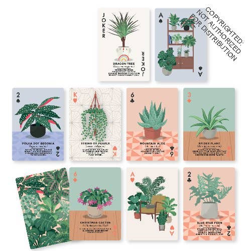 House Plants Playing Cards