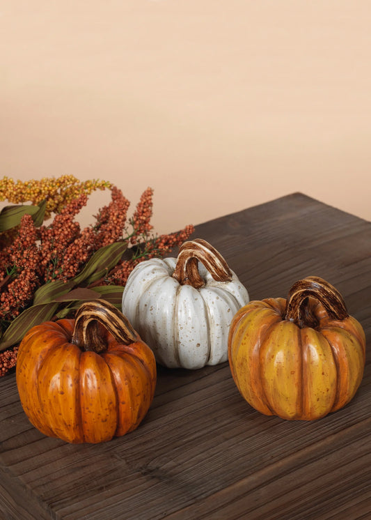 Harvest Pumpkin