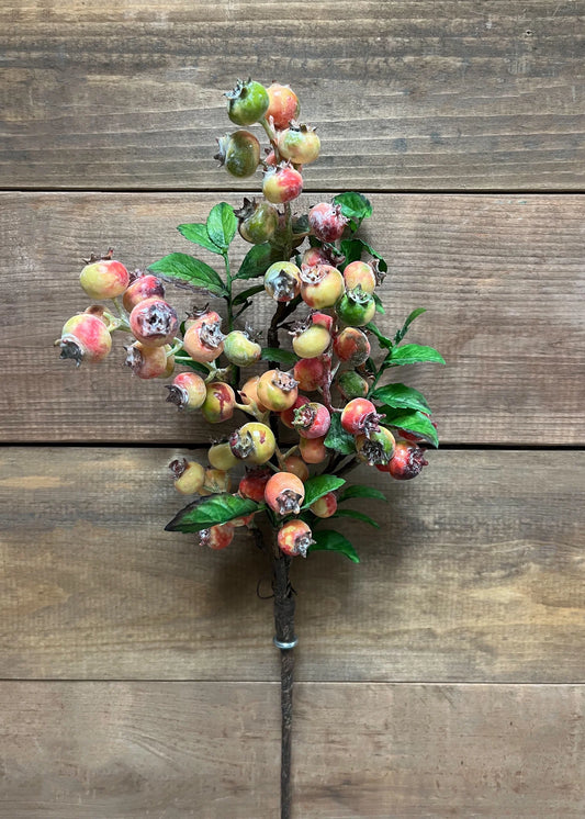 Fall Cranberry Spray