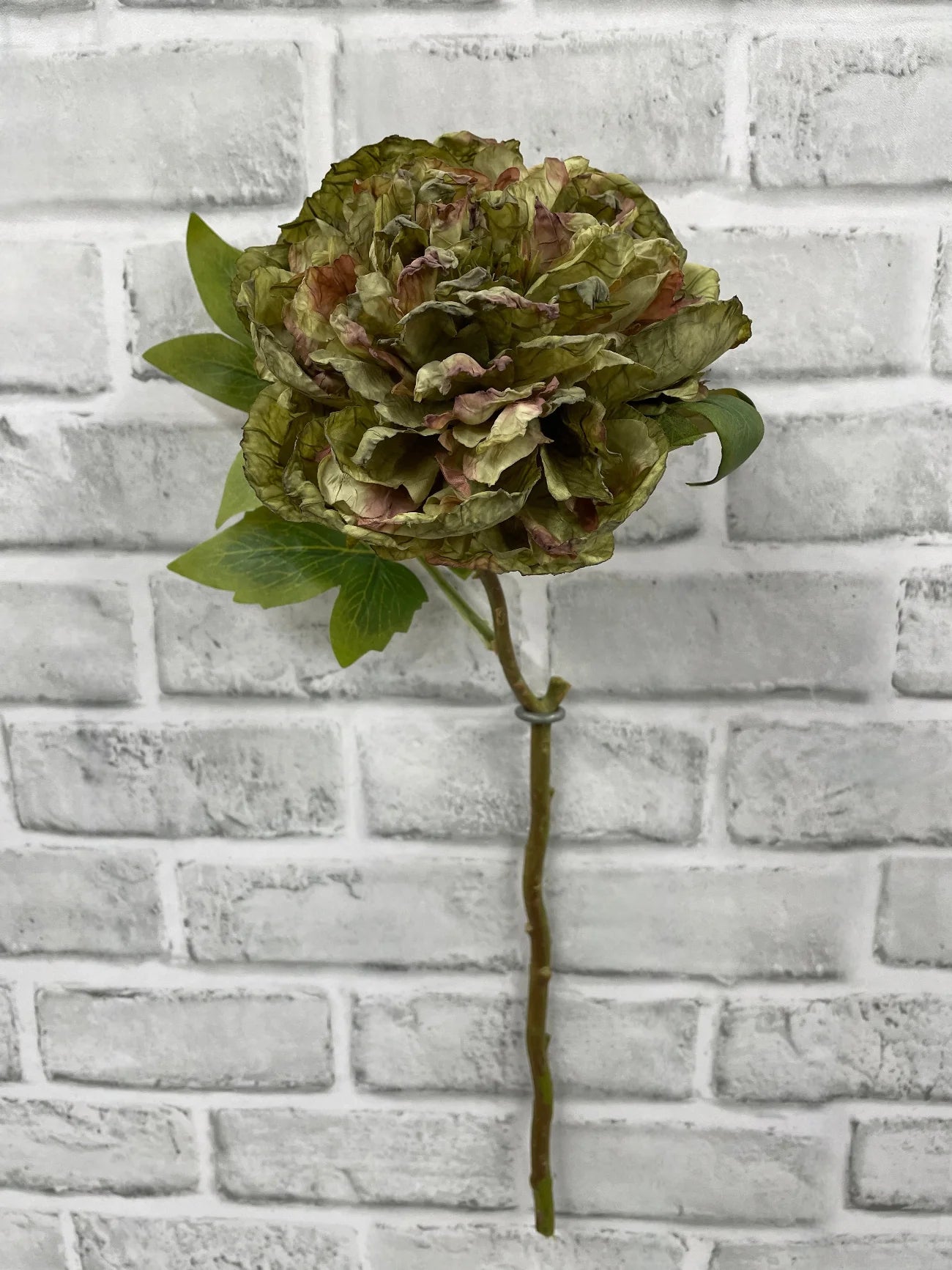 Dried Look Peony - Green