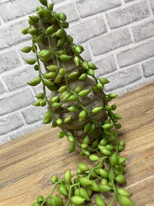 Raindrop Succulents Strands