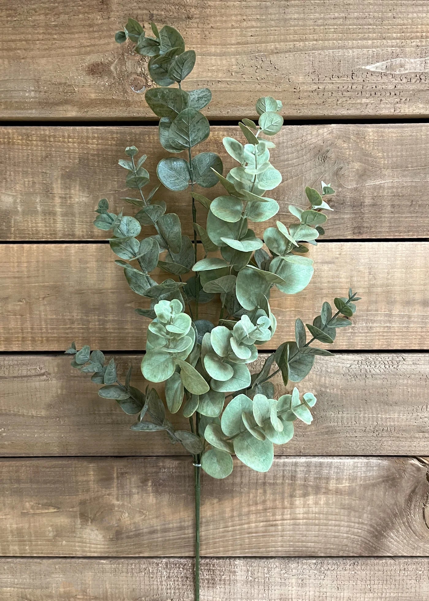 Eucalyptus Spary
