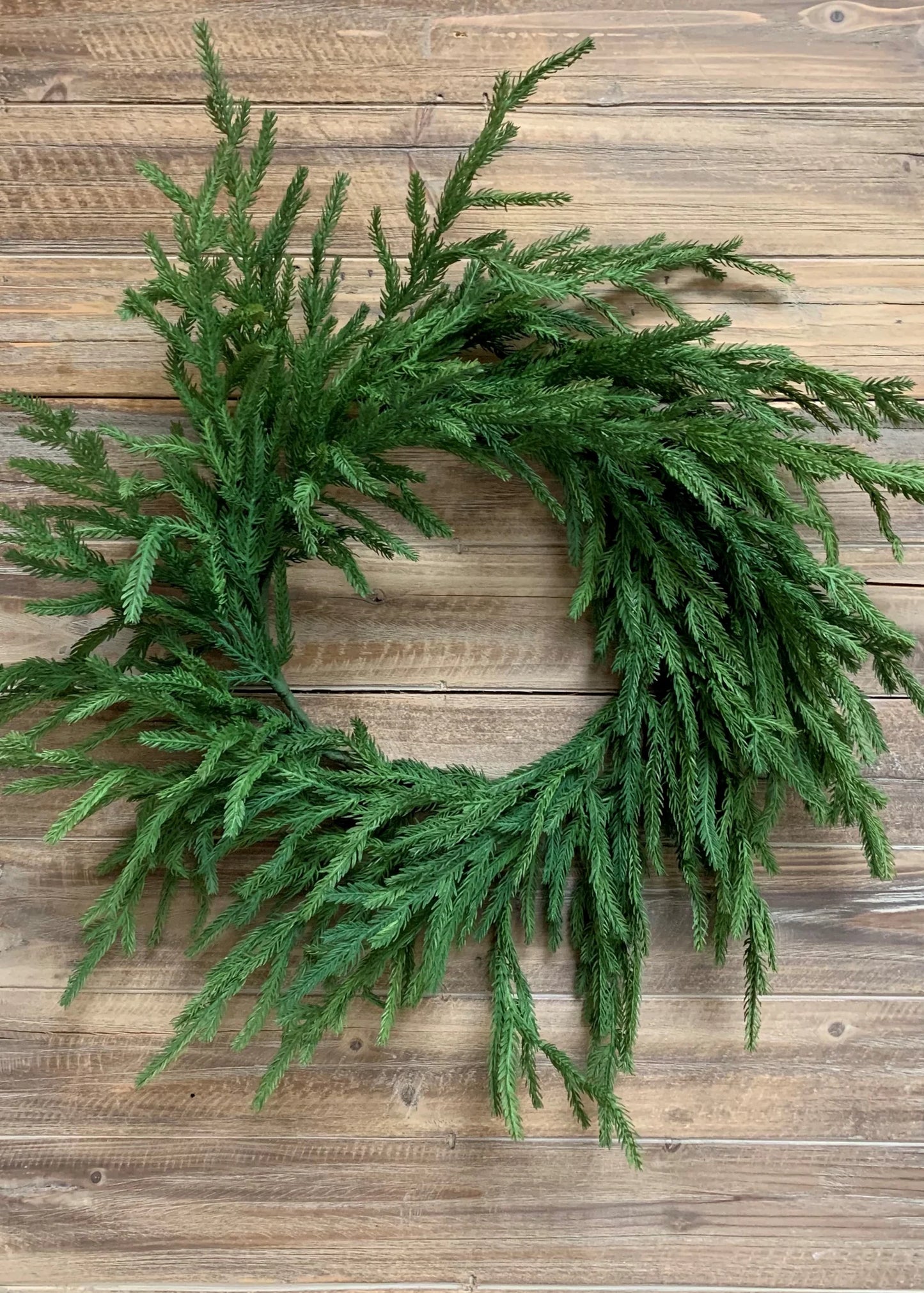 22" Norfolk Wreath - Fresh Touch