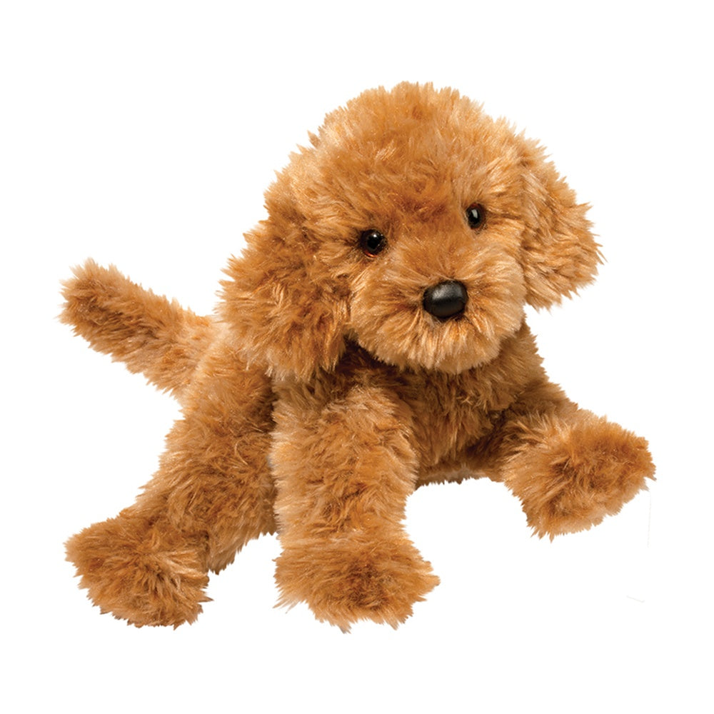 Addie the Labradoodle