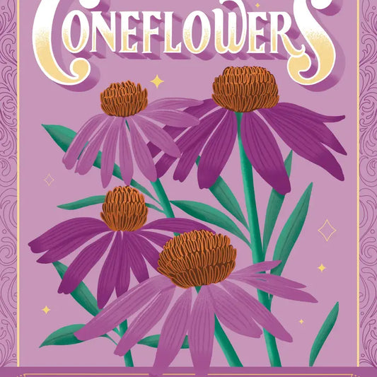 Coneflowers - Healing