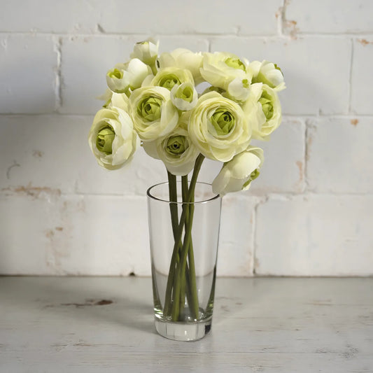 Ranunculus 6 Stems -  11"