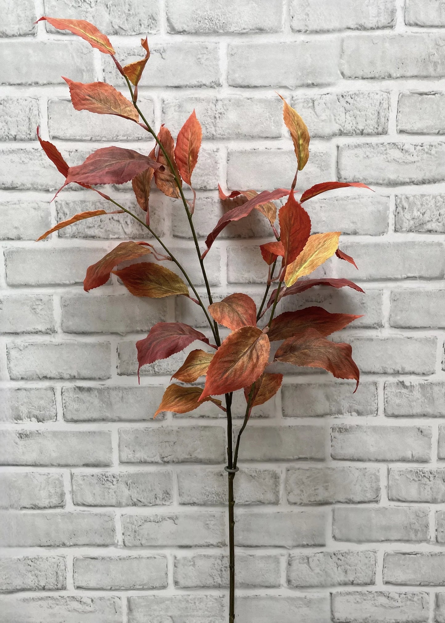 Fall Elm Spray
