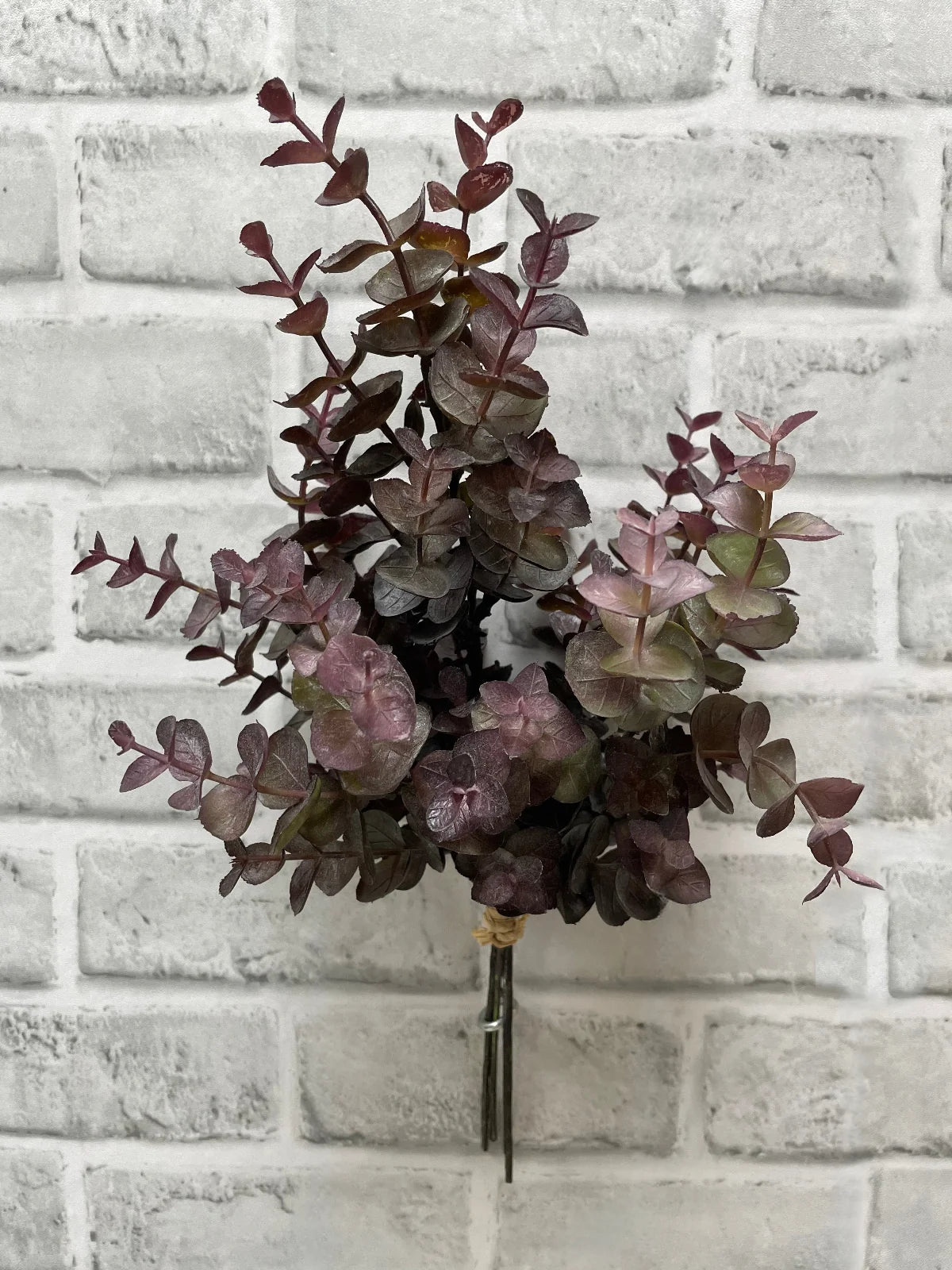 Burgundy Eucalyptus