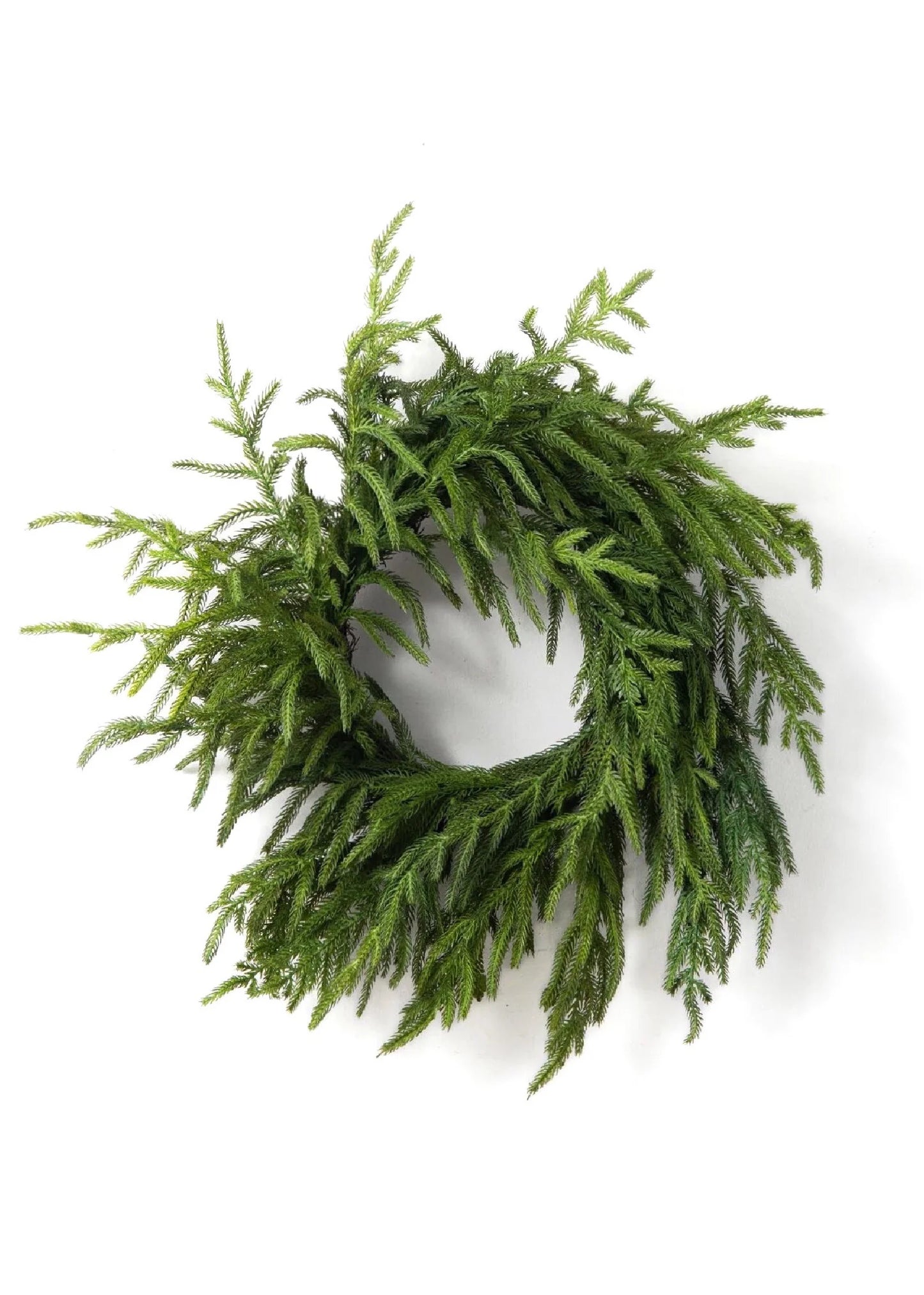 20" Norfolk Wreath - Fresh Touch