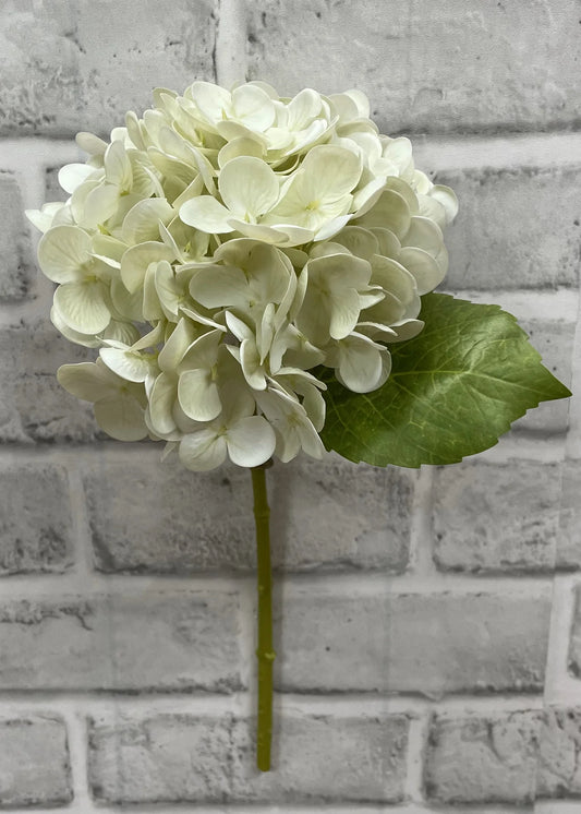Hydrangea Stem - Fresh Touch Floral