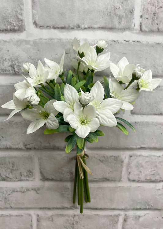 White Ballon Flowers