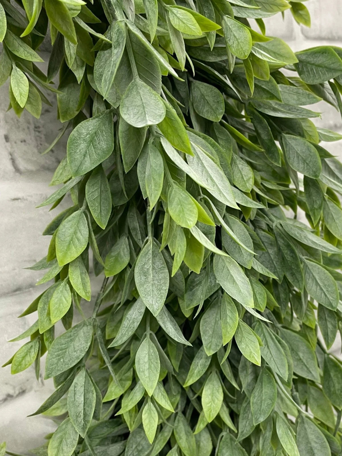 Ruscus Wreath