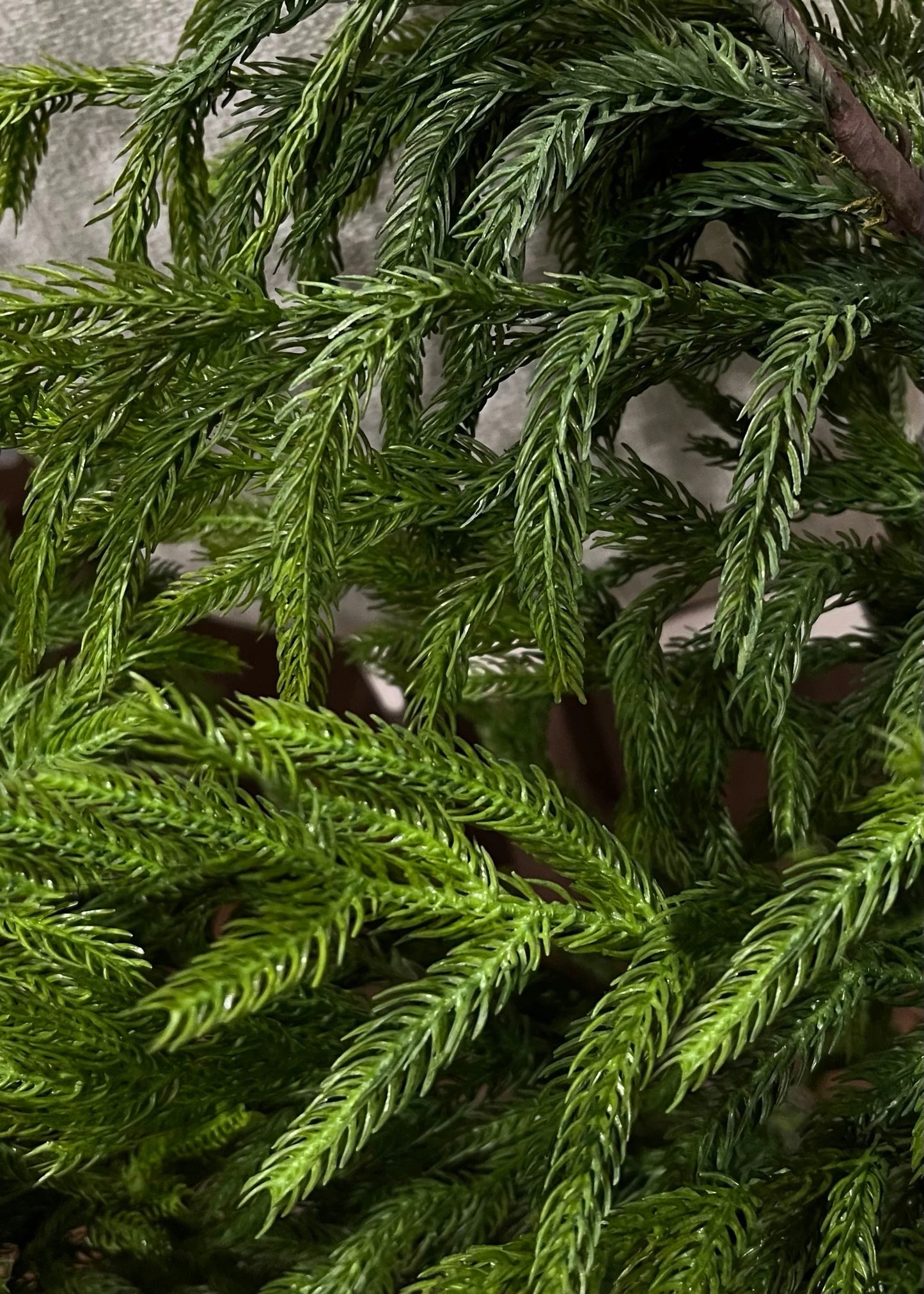 40" Norfolk Dripping Pine Garland - Fresh Touch